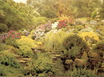 painting of lush garden filled with bushes and various colored rhododendrons