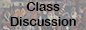 class discussion